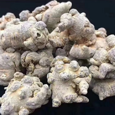 云南文山三七