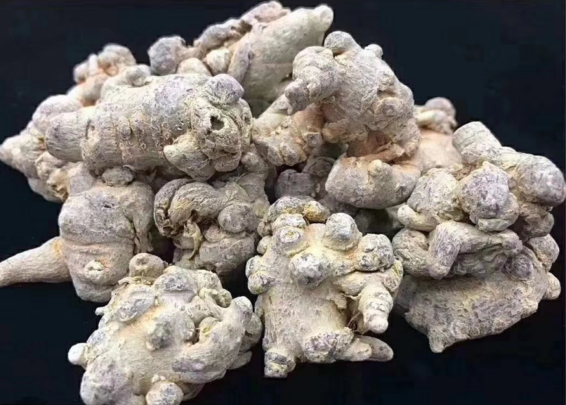 云南文山三七