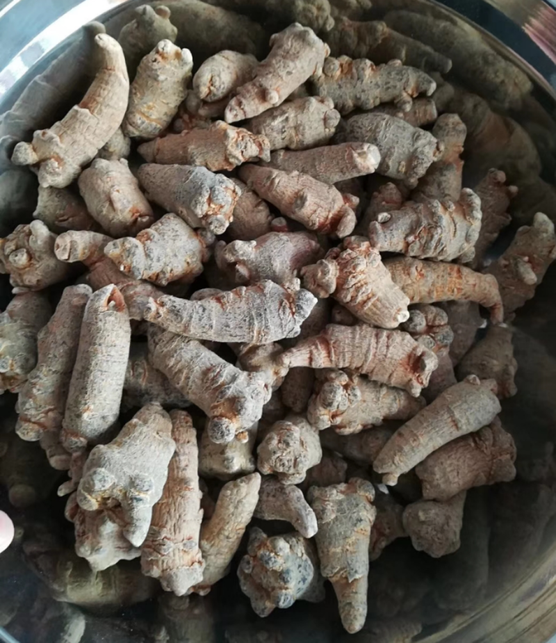 云南文山三七