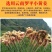 【买一斤送一斤】云南干姜粉生姜粉小黄姜粉食用药用泡脚