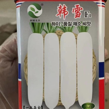 韩雪，白萝卜种，叶小，根部大，耐寒耐湿耐抽苔。