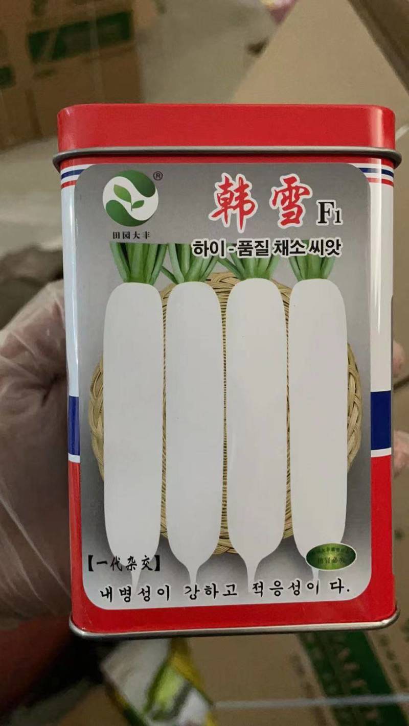 韩雪，白萝卜种，叶小，根部大，耐寒耐湿耐抽苔。