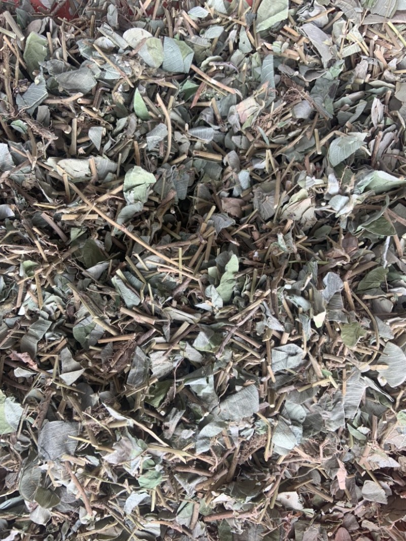大叶金钱草中药材金钱草无硫熏新货纯手机拍摄量大价格从优