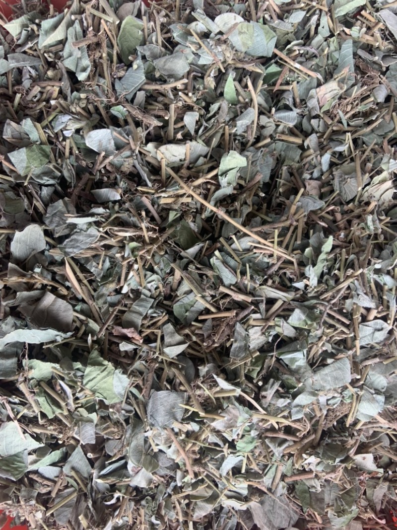 大叶金钱草中药材金钱草无硫熏新货纯手机拍摄量大价格从优