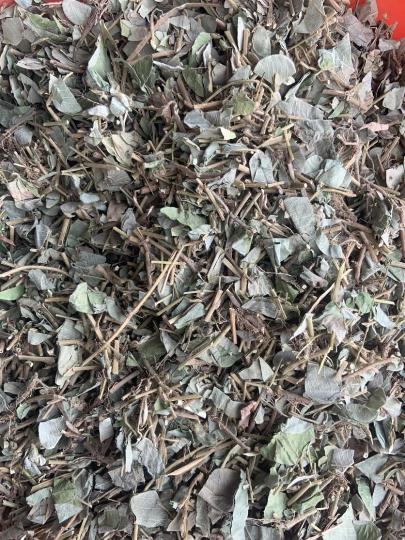 大叶金钱草中药材金钱草无硫熏新货纯手机拍摄量大价格从优