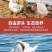 【顺丰包邮】特价农家鹅翅新鲜鹅全翅大鹅翅三节翅鹅肉卤味
