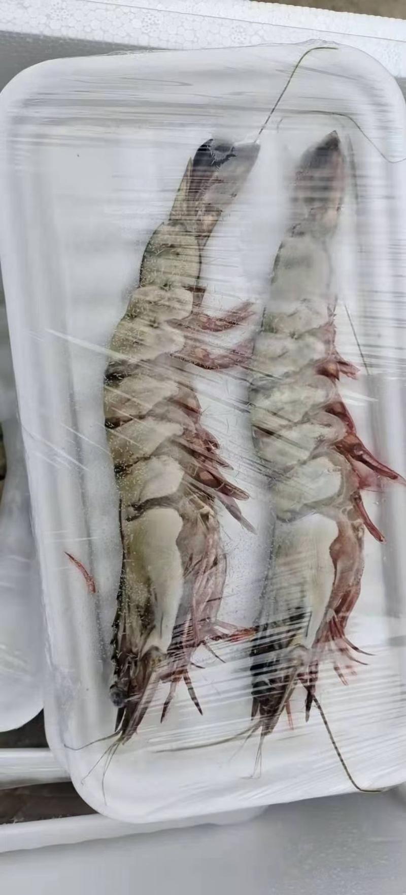 大个黑虎虾，老虎虾，海捕大虾，两头250克，各种海虾