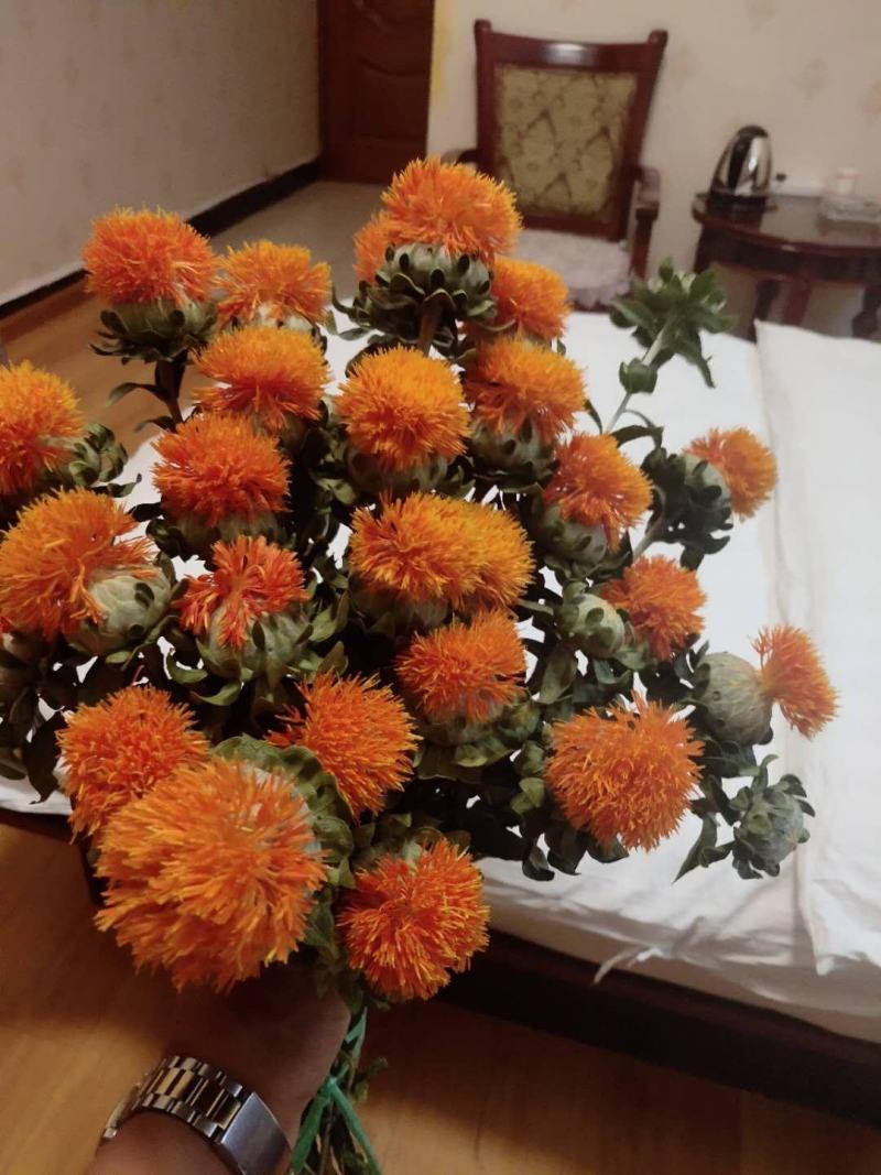 红花果，橙菠萝花