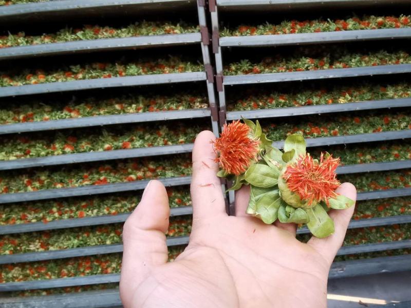 红花果，橙菠萝花