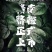 赣南脐橙产地直销