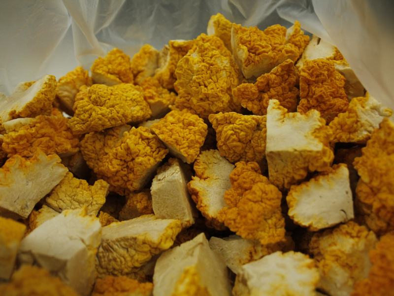 菌中燕窝，冻干金耳菌