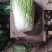 大白菜,甘肃酒泉大白菜物美价廉欢迎采购。
