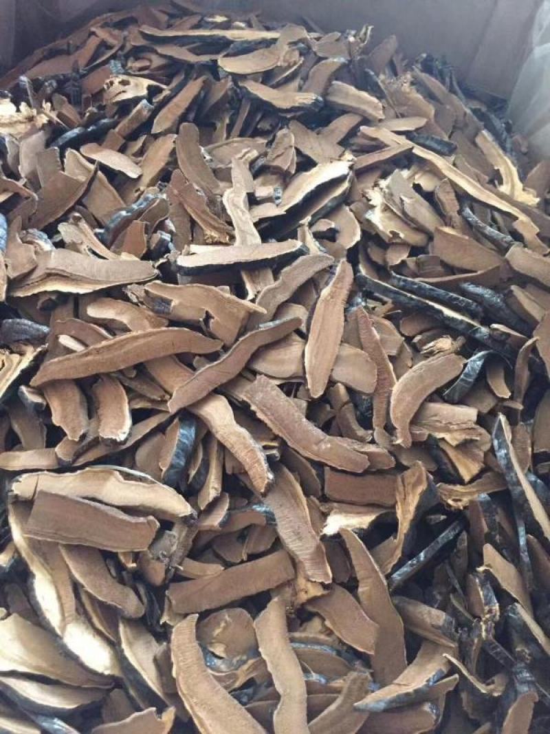 长白山正品深山采摘天然野生黑灵芝500g