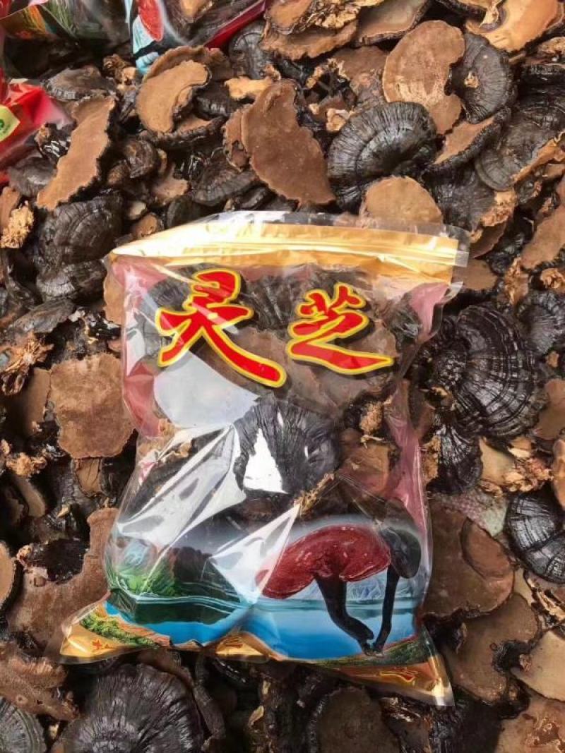 长白山正品深山采摘天然野生黑灵芝500g