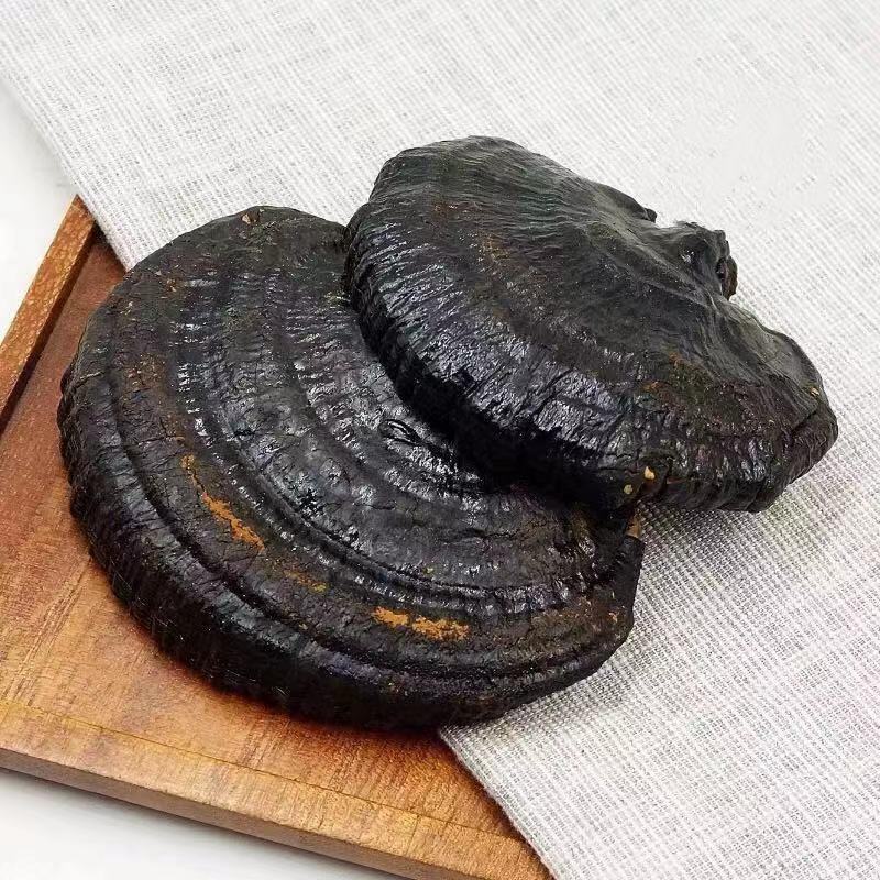 长白山正品深山采摘天然野生黑灵芝500g