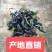 菱角种菱角苗菱角种苗青菱角种子种苗大菱角牛角菱两角