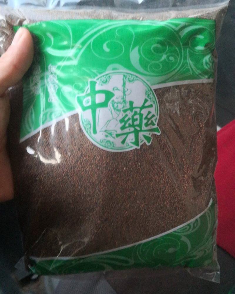 菟丝子水洗新货菟丝子藤农副产品不满意可退换货