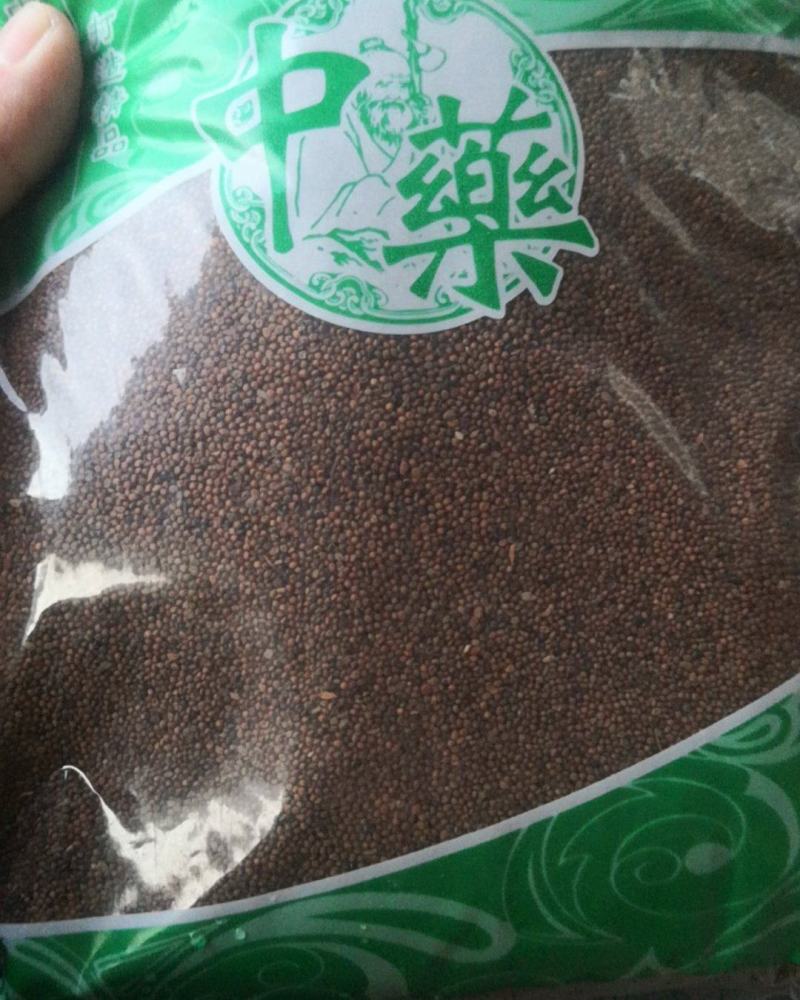 菟丝子水洗新货菟丝子藤农副产品不满意可退换货