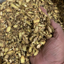 黄芩甘肃黄芩瓜子斜片颜色好干度好重在质量