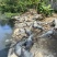 200斤以上大种鳄鱼泰鳄暹罗鳄鱼