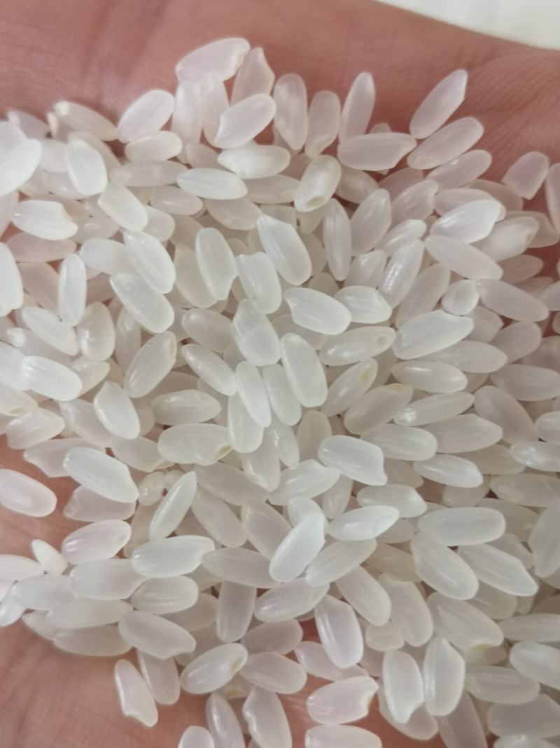 精选东北长粒香大米，产自黑龙江五常，食堂米，新米厂家批发