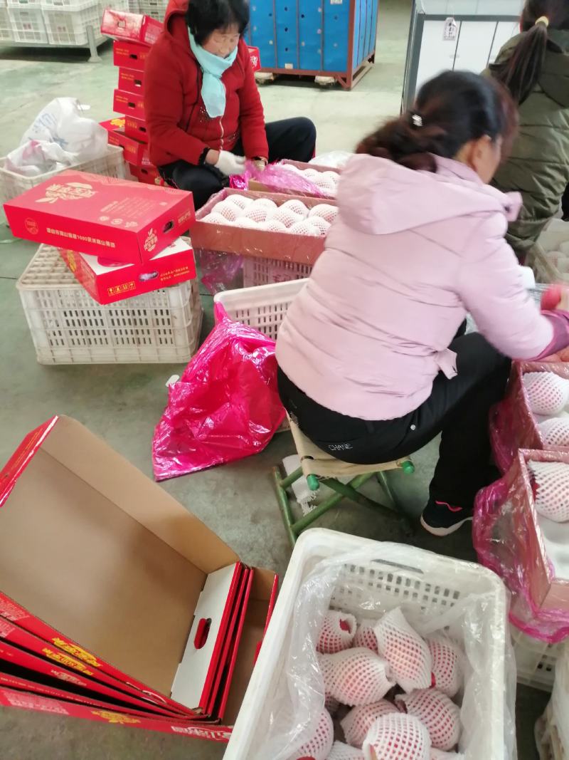 河南灵宝寺河山纸袋红富士苹果精品礼盒包装都是精品货数量不