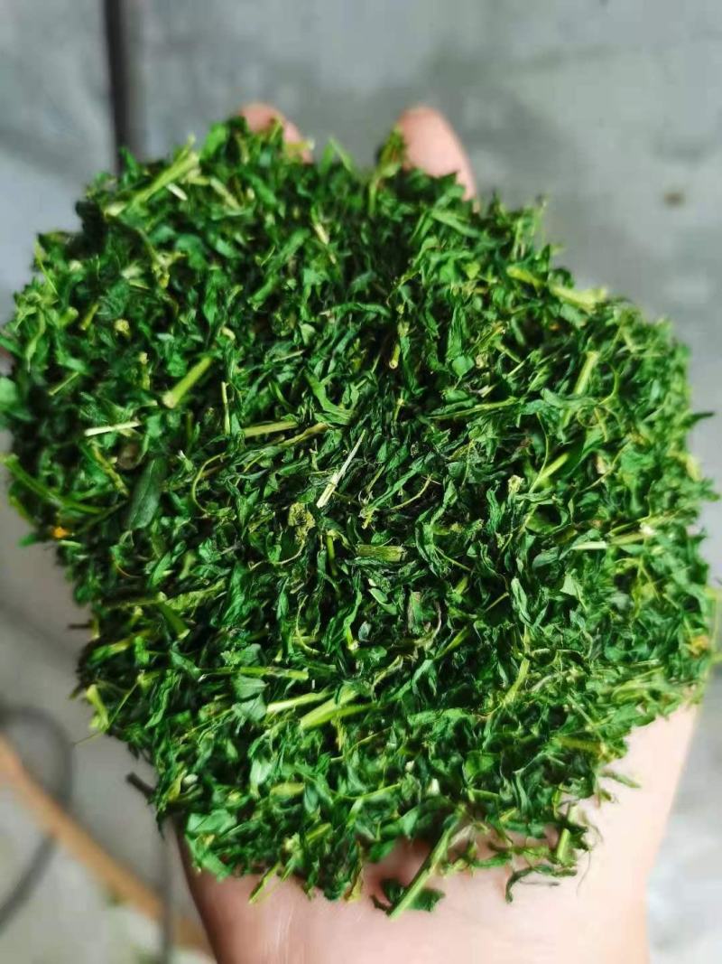 护肝茶，相思茶
