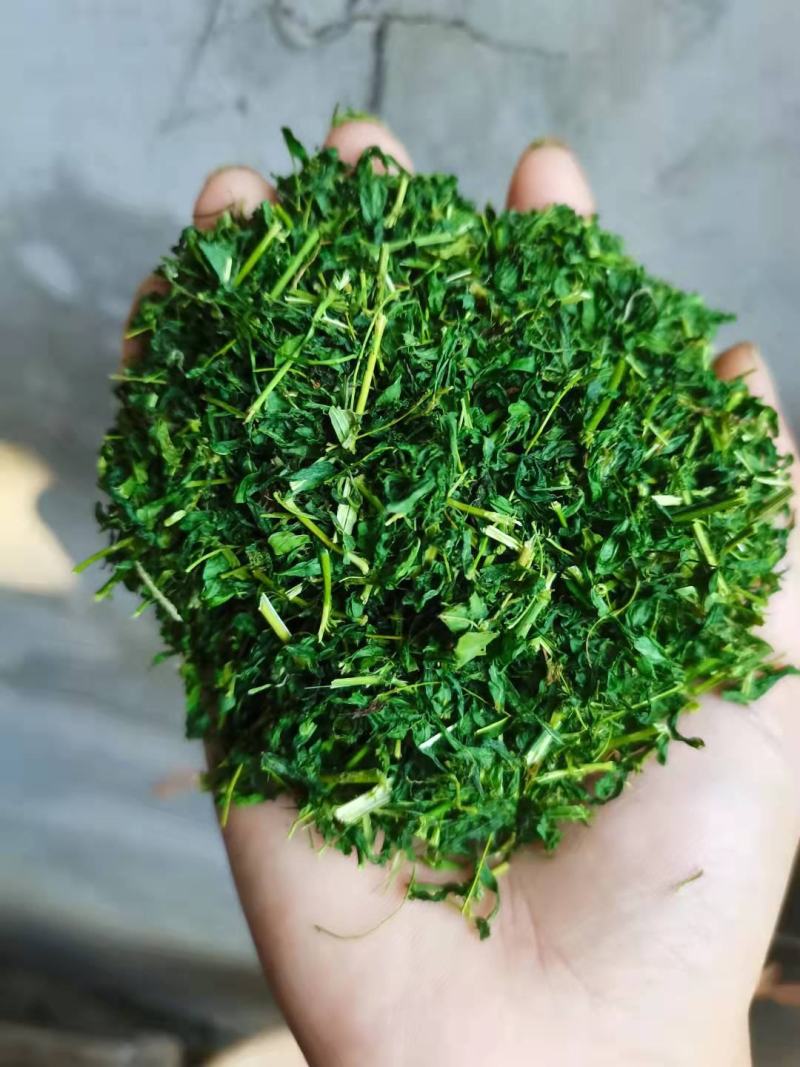 护肝茶，相思茶