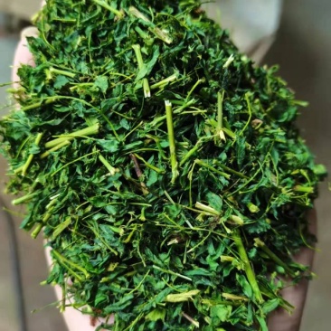 护肝茶，相思茶