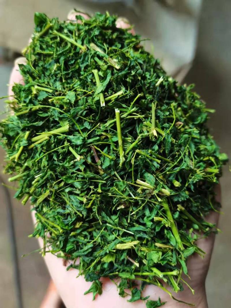 护肝茶，相思茶