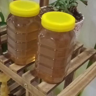 纯土蜂蜜瓶装