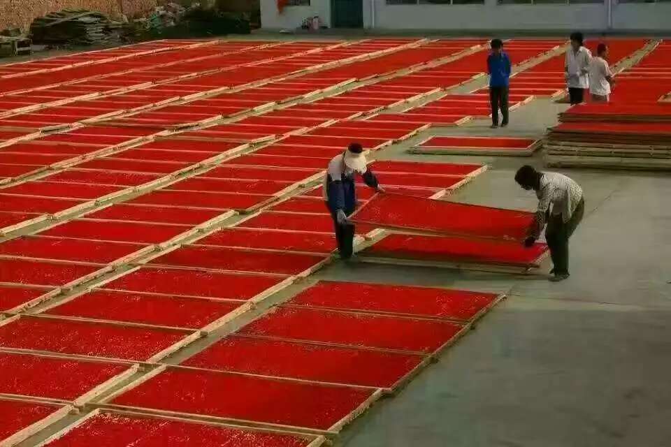 枸杞叶清洗过程图