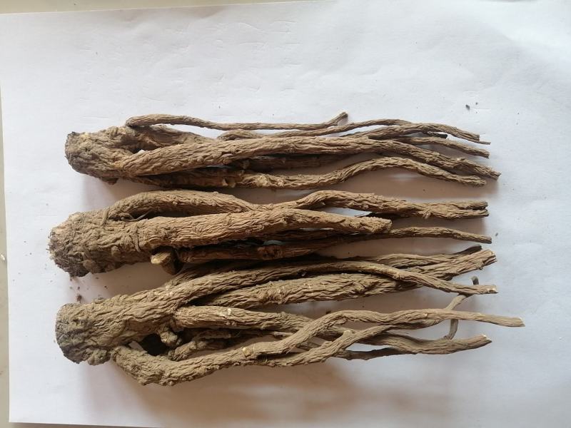 地产岷县大宗补品当归热卖，值得信赖的岷州特产哦