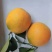 湘西脐橙