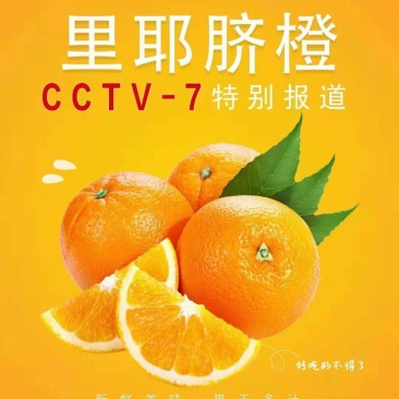 湘西脐橙