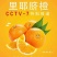 湘西脐橙