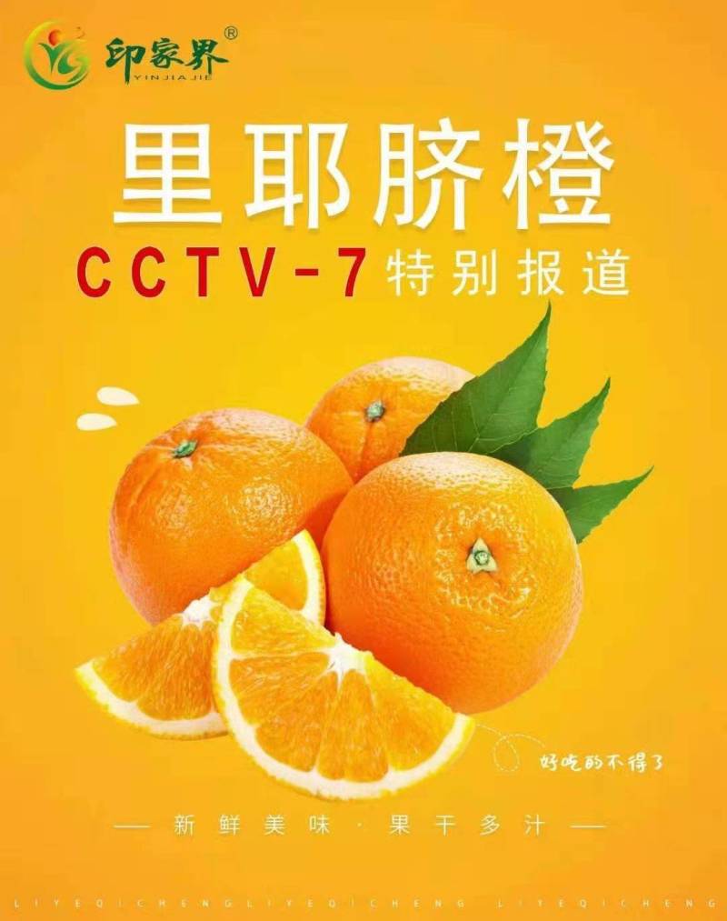 湘西脐橙
