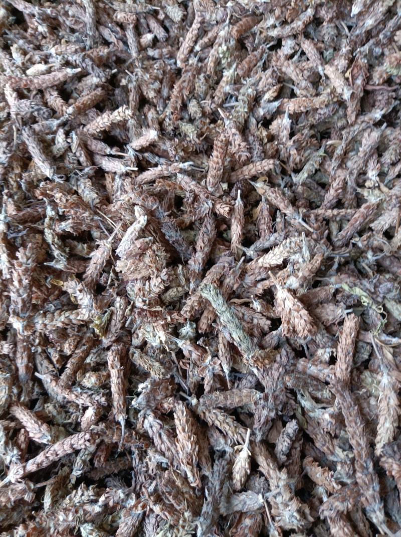 夏枯球，产地直销一手货，货源充足，大花，光头，统货齐全。