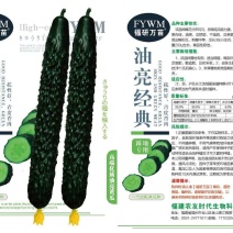 油亮经典，绿黄瓜种子瓜条深绿，单瓜重200克