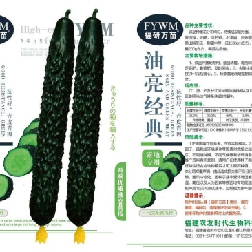 油亮经典，绿黄瓜种子瓜条深绿，单瓜重200克