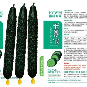 至尊宝青皮青肉黄瓜种子，绿皮绿肉，一代杂交品种。