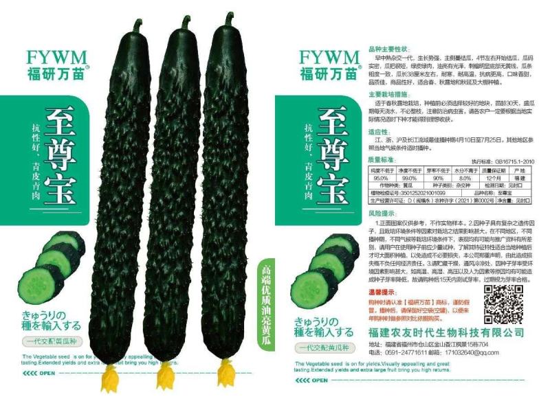 至尊宝青皮青肉黄瓜种子，绿皮绿肉，一代杂交品种。