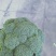 蔬菜，精品西蓝花，颜色青绿，口感清脆，产地供应