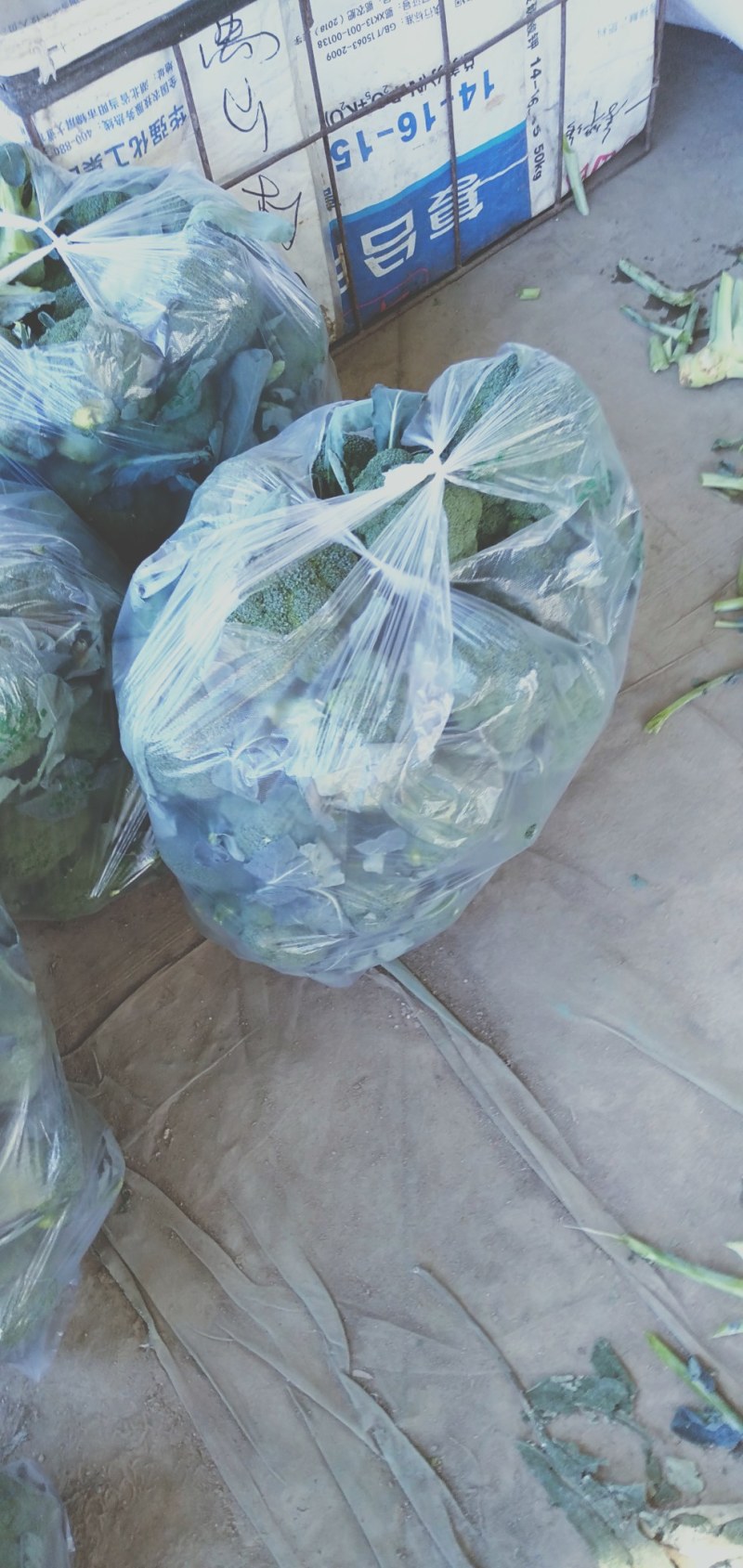 蔬菜，精品西蓝花，颜色青绿，口感清脆，产地供应