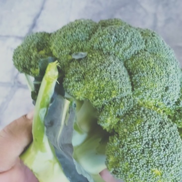 蔬菜，精品西蓝花，颜色青绿，口感清脆，产地供应