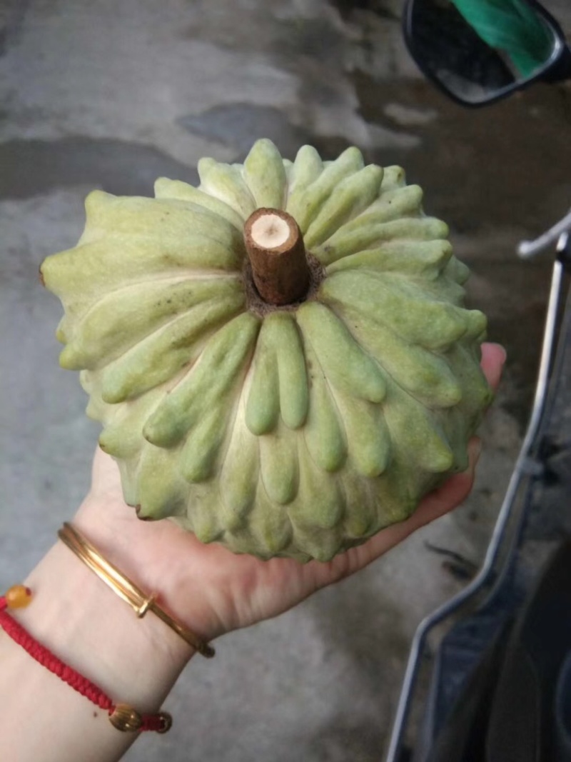 有大果出