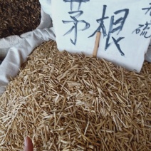白茅根来自广西玉药材批发，货对板真材实料，质量保证，量大