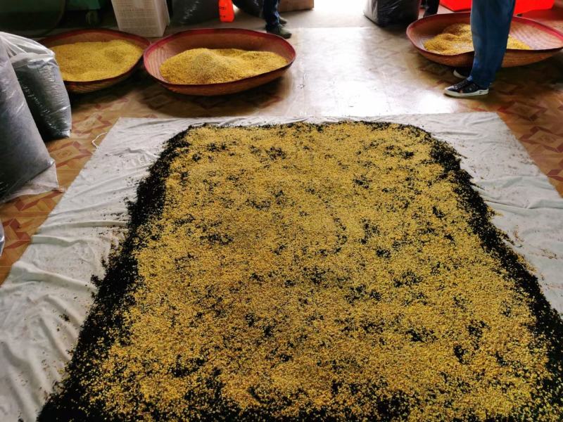 桂花红茶桂花乌龙茶野生红茶礼盒装浓香正宗正山小种