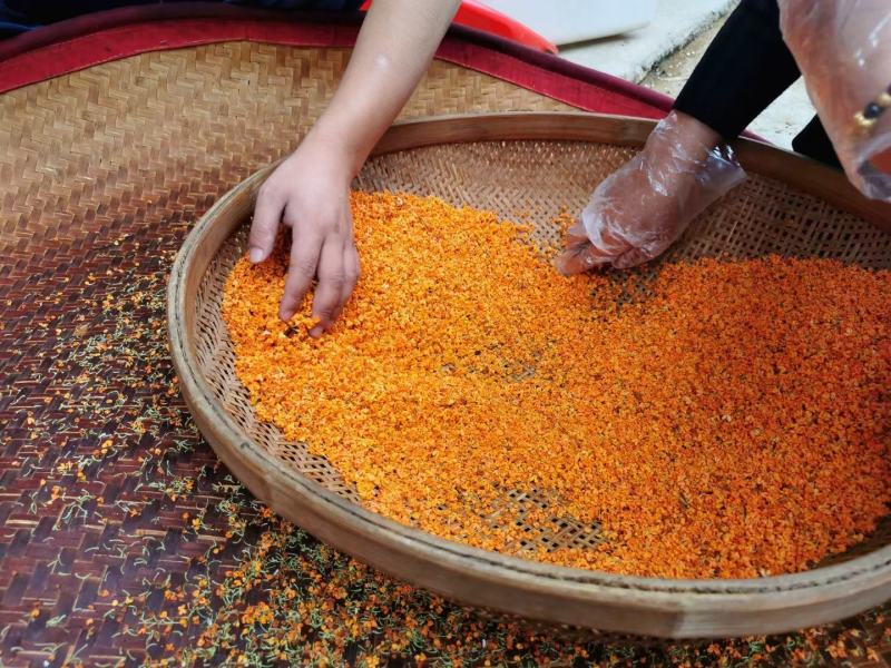 桂花红茶桂花乌龙茶野生红茶礼盒装浓香正宗正山小种