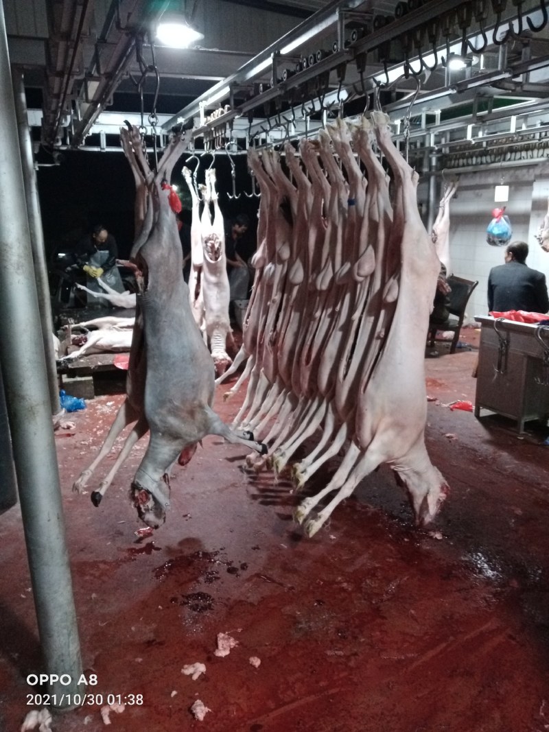 羊肉批发